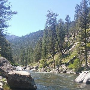 Meet your Posher, Casey